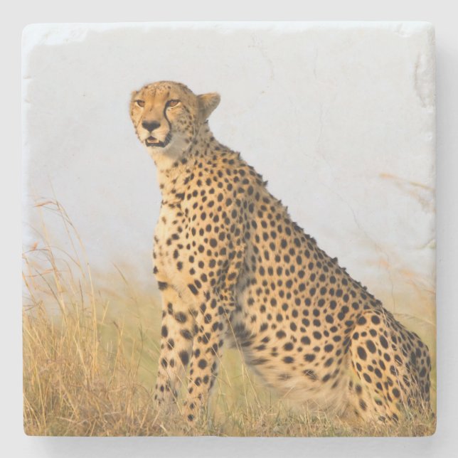 Posavasos De Piedra Cheetah (Anverso)