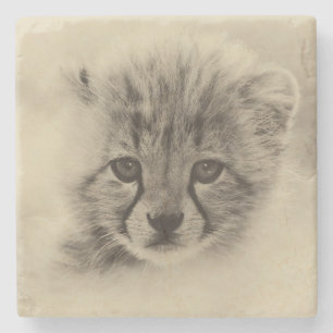 Posavasos De Piedra Cheetah Cub