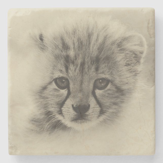 Posavasos De Piedra Cheetah Cub (Anverso)