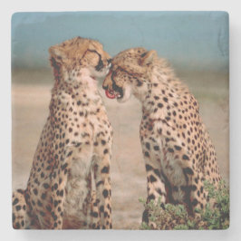 Posavasos De Piedra Cheetahs