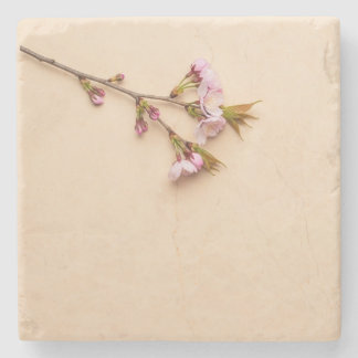 Posavasos De Piedra Cherry Blossom and Daisy Background