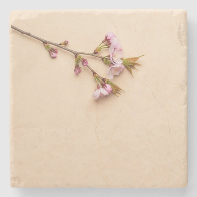 Posavasos De Piedra Cherry Blossom and Daisy Background (Anverso)