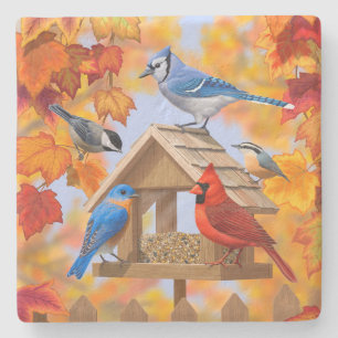 Posavasos De Piedra Chickadee Bluebird Cardenal Blue Jay Autums Leaves