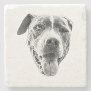 Posavasos De Piedra Chilly Dusk Canine Echo