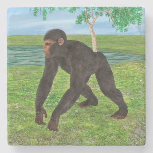 Posavasos De Piedra Chimpancé