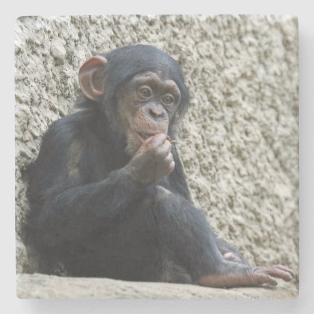 Posavasos De Piedra Chimpanzee 013 (Anverso)