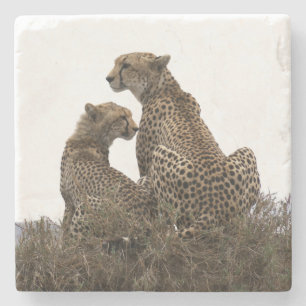 Posavasos De Piedra Chita, mamá y montaña rusa de piedra