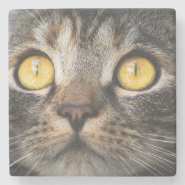 Posavasos De Piedra Cierre de gato con ojos amarillos