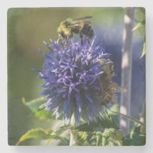 Posavasos De Piedra Cierre de una abeja en una flor morada/azul