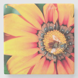 Posavasos De Piedra Cierre Extremo De Un Polen Colectivo De Abejas