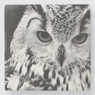 Posavasos De Piedra Ciérrese encima del retrato del Eagle-búho