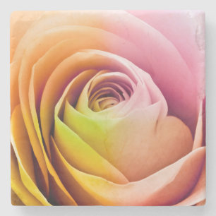 Posavasos De Piedra Ciérrese para arriba de pétalos color de rosa