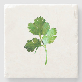 Posavasos De Piedra Cilantro Piedra Posavasos