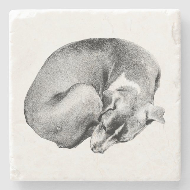 Posavasos De Piedra Círculo de la facilidad (Anverso)