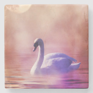 Posavasos De Piedra Cisne blanco flotando en un lago polvoriento