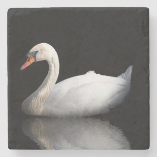Posavasos De Piedra cisne blanco sobre negro