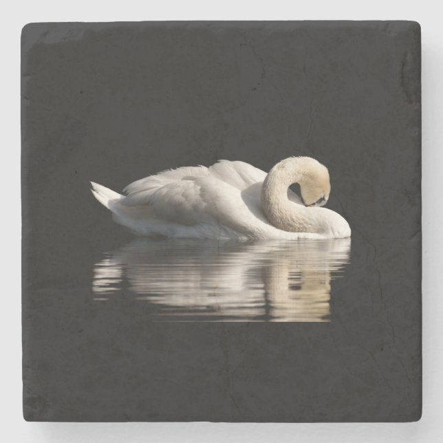 Posavasos De Piedra Cisne solitario (Anverso)