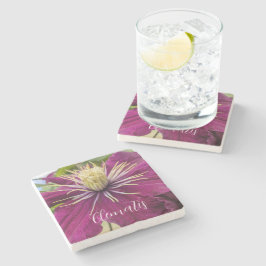 Posavasos De Piedra Clemátide Púrpura Floración Floral