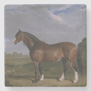 Posavasos De Piedra Clydesdale Stallion (Caballo tostado) (Animal)