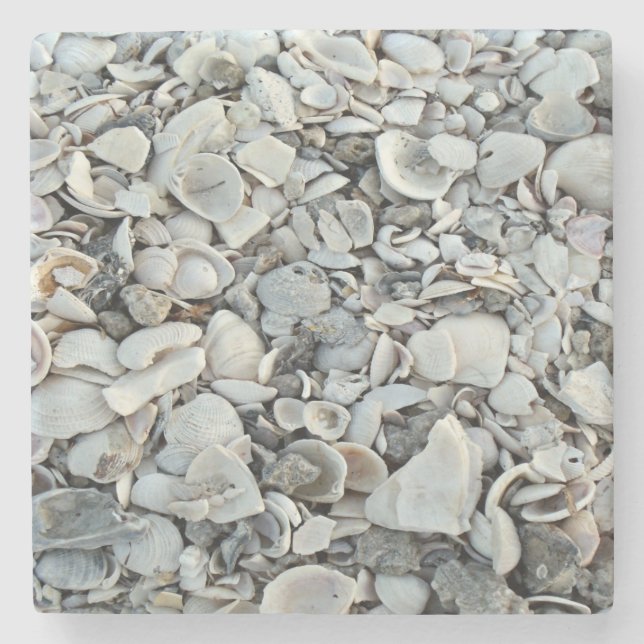 Posavasos De Piedra coastal Shell Natural Pattern (Anverso)