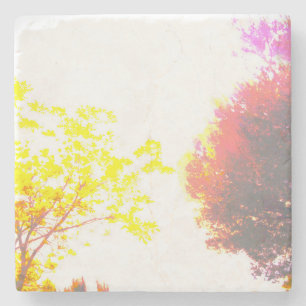 Posavasos De Piedra Coaster