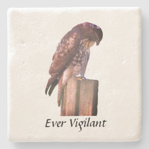 Posavasos De Piedra Coaster de Piedra - Halcón - Siempre Vigilante