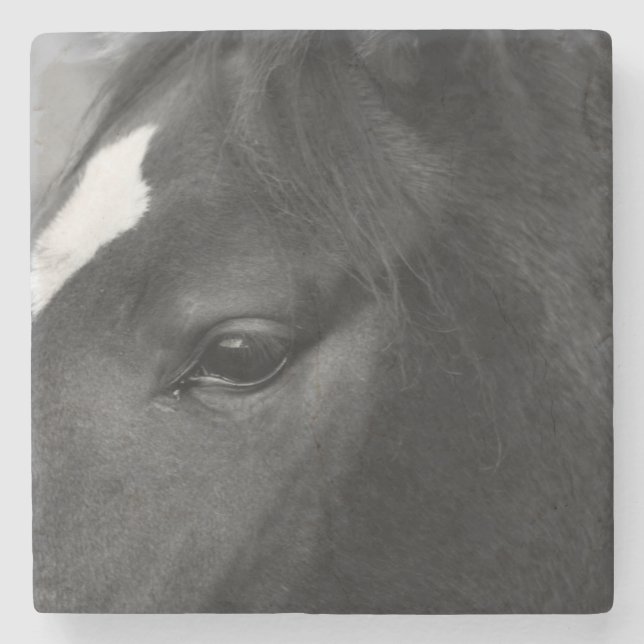 Posavasos De Piedra Coasterca equina (Anverso)