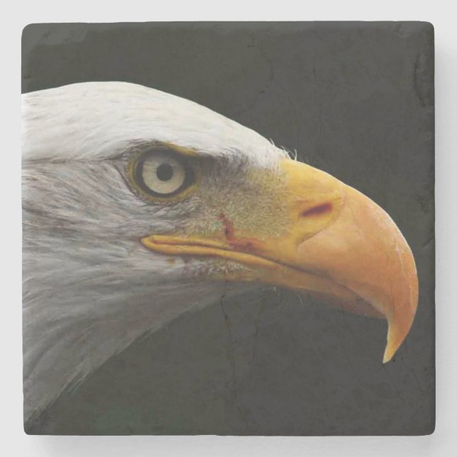 Posavasos De Piedra Coastercna del águila calva (Anverso)