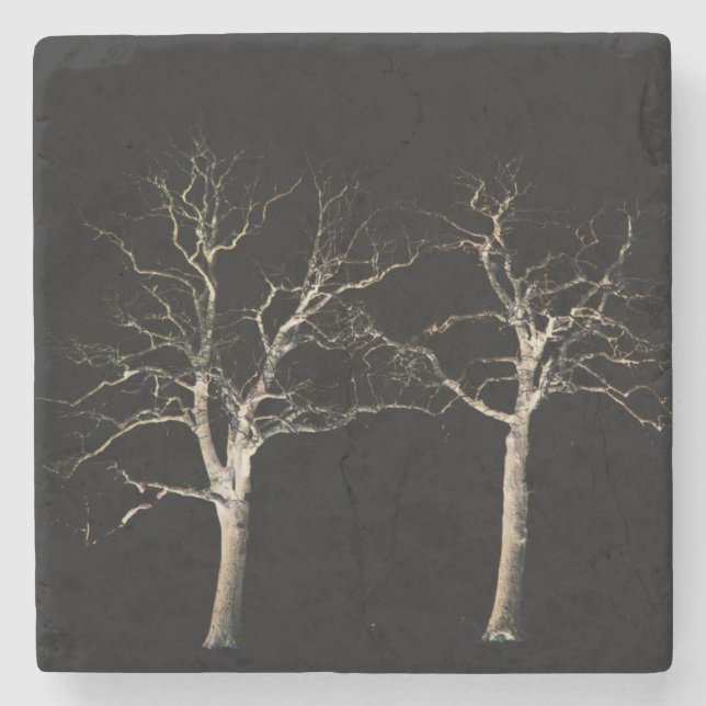 Posavasos De Piedra Coastercna del lado oscuro 9 (Anverso)