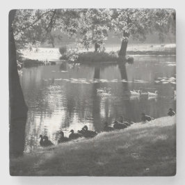 Posavasos De Piedra Coastercnm de Park Life