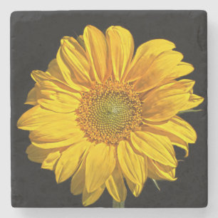 Posavasos De Piedra Coasterisco de girasol