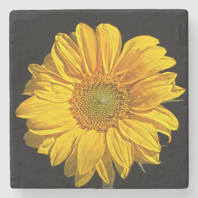 Posavasos De Piedra Coasterisco de girasol (Anverso)