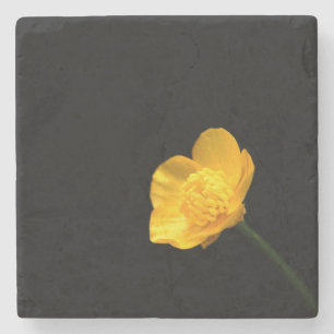 Posavasos De Piedra Coasterización de flor de mariposa