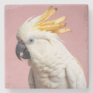 Posavasos De Piedra Cockatoo divertido con Escudo de Fries franceses