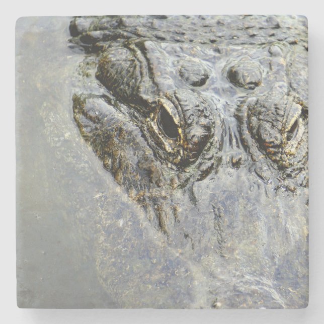 Posavasos De Piedra Cocodrilo 2 (Anverso)