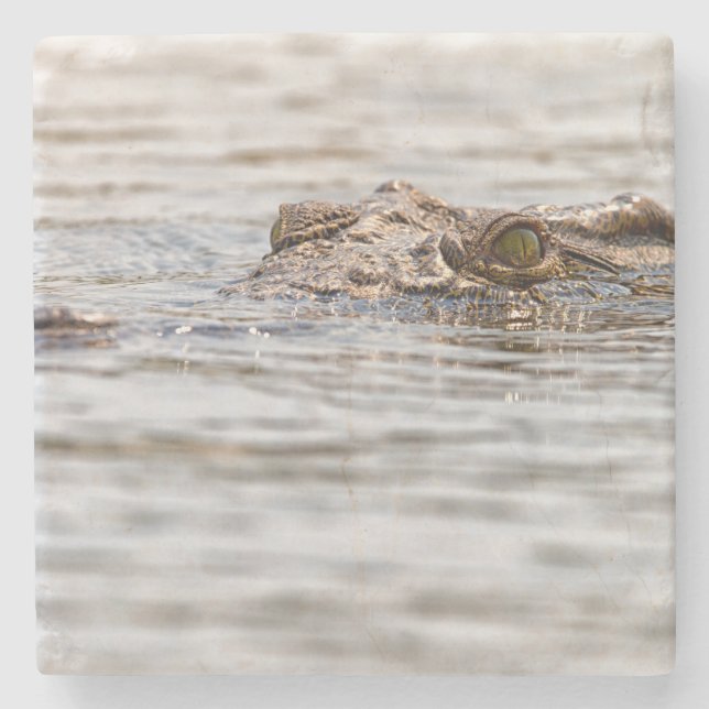 Posavasos De Piedra Cocodrilo del Nilo (Anverso)