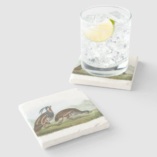 Posavasos De Piedra Codornices de montaña por Audubon