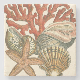 Posavasos De Piedra Colección de Sealife
