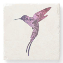 Colibrí pintado bonito