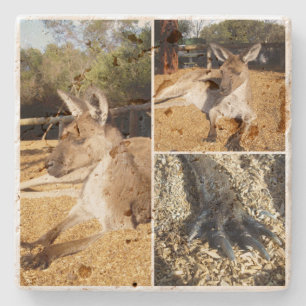 Posavasos De Piedra Collage de fotos de tres imágenes canguro,