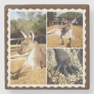 Posavasos De Piedra Collage Kangaroo Picture, Stone Coaster