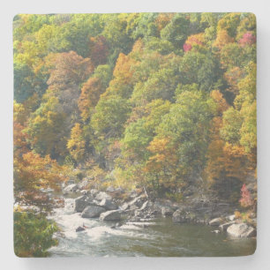 Posavasos De Piedra Color de la caída en el Parque Estatal Ohiopyle