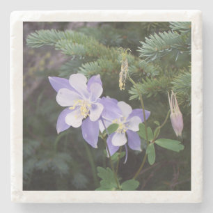 Posavasos De Piedra Colorado Columbine 4"x4", escoria de mármol