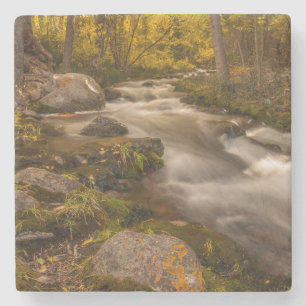 Posavasos De Piedra Colores de otoño en Crestone Creek