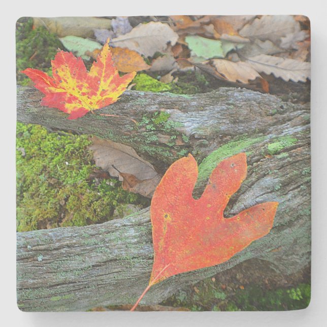 Posavasos De Piedra Coloridas hojas otoñales (Anverso)