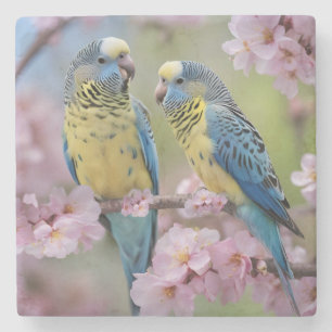Posavasos De Piedra "Compañeros vibrantes: Budgies azules y amarillos"