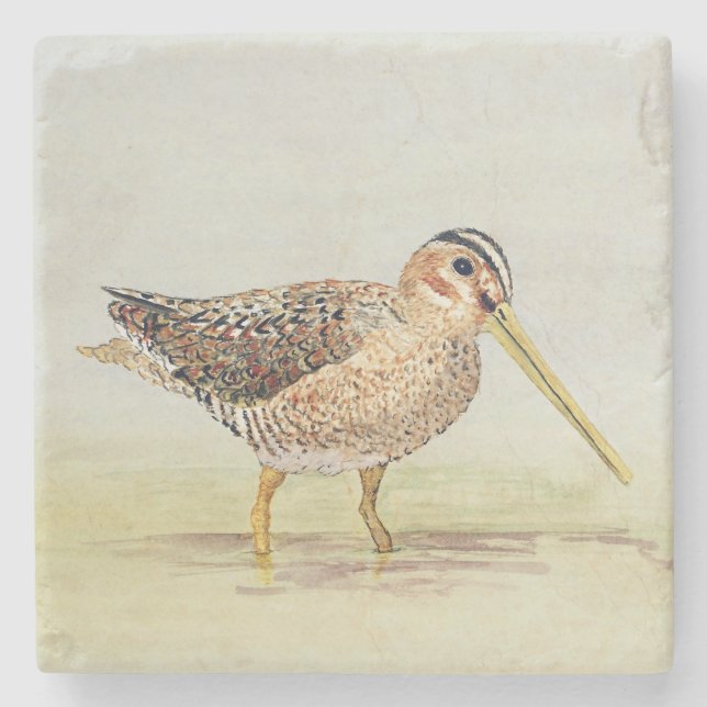 Posavasos De Piedra Común ataque desde un escondite el práctico de (Anverso)