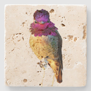 Posavasos de piedra con foto de pájaro rosa Anna's