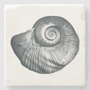Posavasos De Piedra Concha de caracol