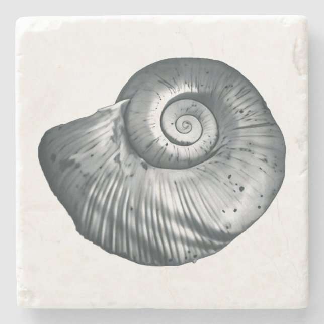 Posavasos De Piedra Concha de caracol (Anverso)